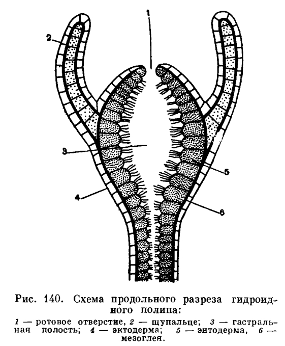 Кракен сообщество